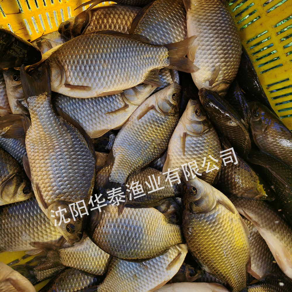&#112;&#112;&#30005;&#23376;&#40;&#20013;&#22269;&#28216;&#41;&#23448;&#26041;&#22312;&#32447;&#24179;&#21488;