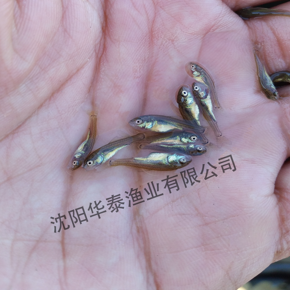 &#112;&#112;&#30005;&#23376;&#40;&#20013;&#22269;&#28216;&#41;&#23448;&#26041;&#22312;&#32447;&#24179;&#21488;