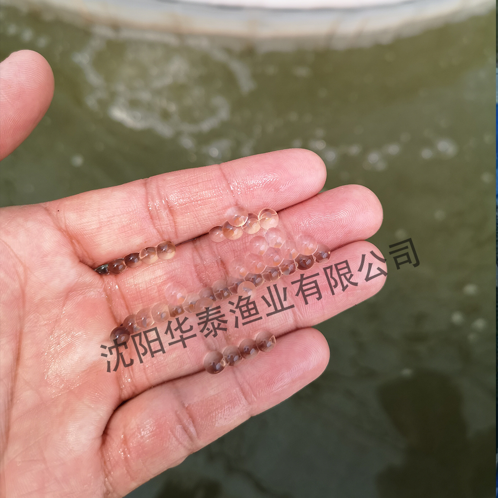 &#112;&#112;&#30005;&#23376;&#40;&#20013;&#22269;&#28216;&#41;&#23448;&#26041;&#22312;&#32447;&#24179;&#21488;